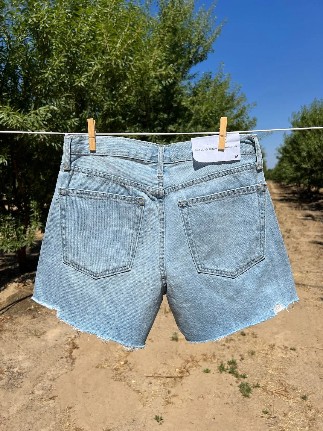 Becky Shorts