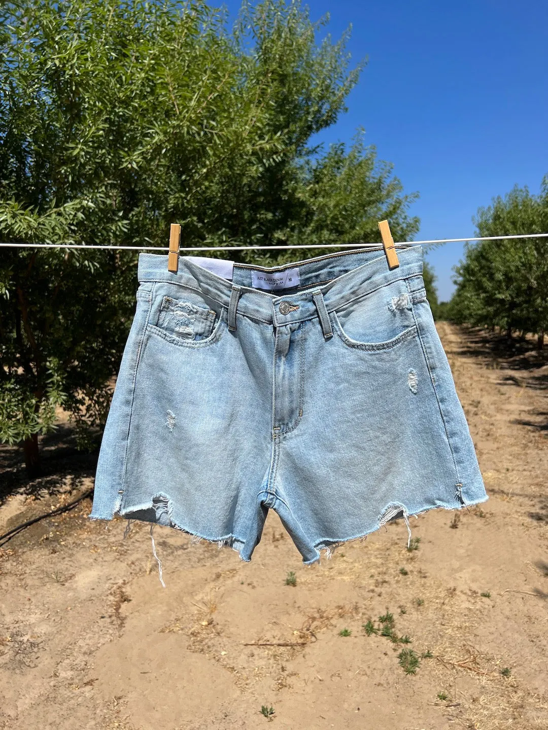Becky Shorts