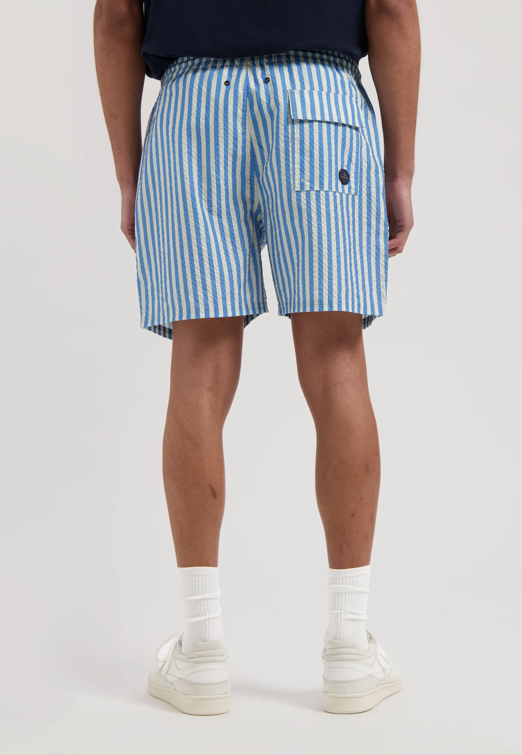 Case Swimshorts Stripe