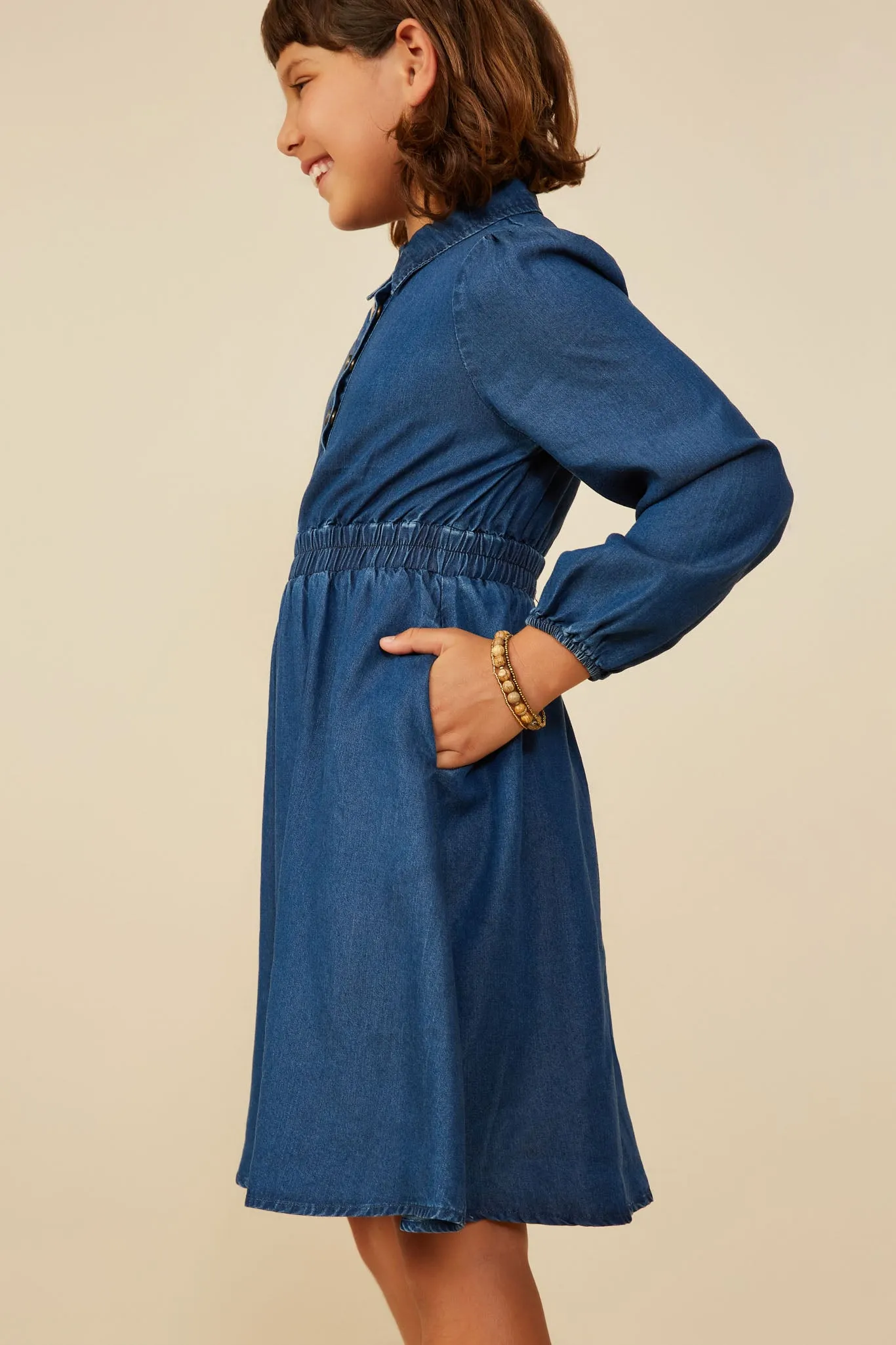 Collared Long Sleeve Chambray Dress