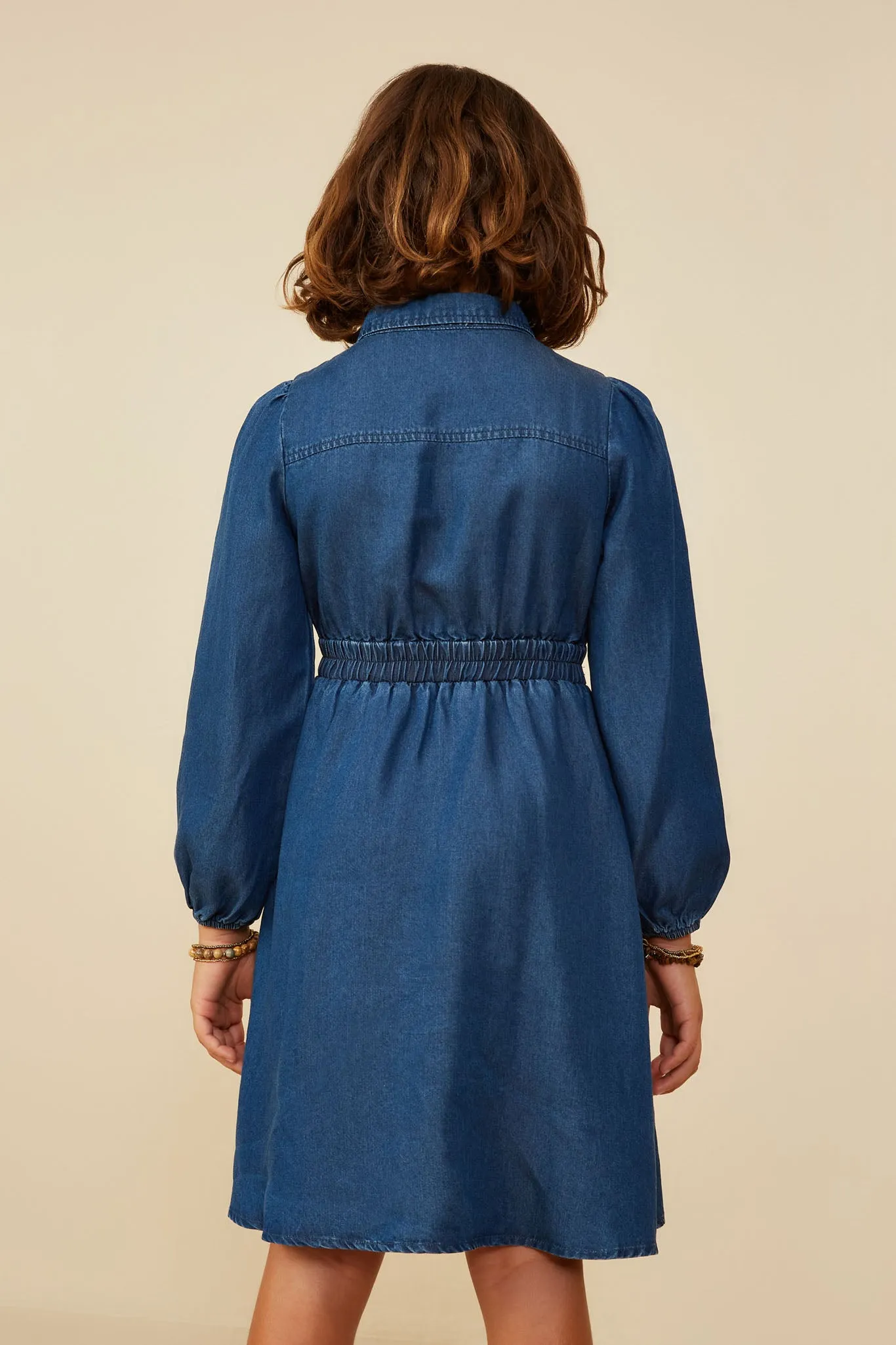 Collared Long Sleeve Chambray Dress