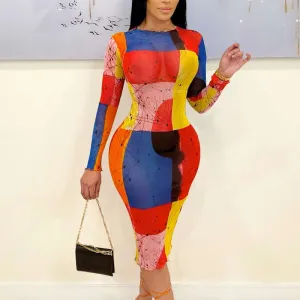 Colorblock Long Sleeve Sheer Mesh Midi Dress