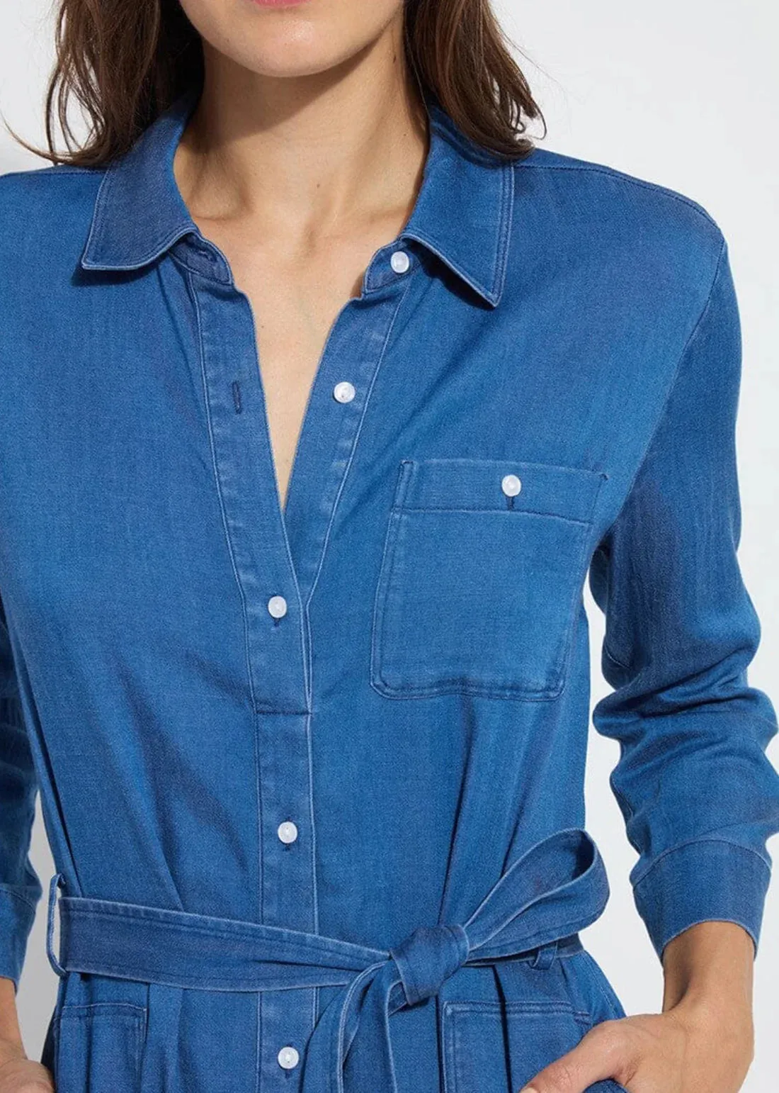 Delphine Chambray Dress