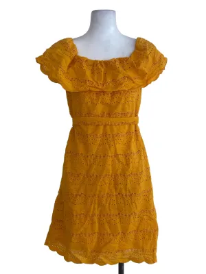 Fire Embroidered Dress