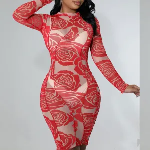 Floral Print Long Sleeve Sheer Mesh Bodycon Dress