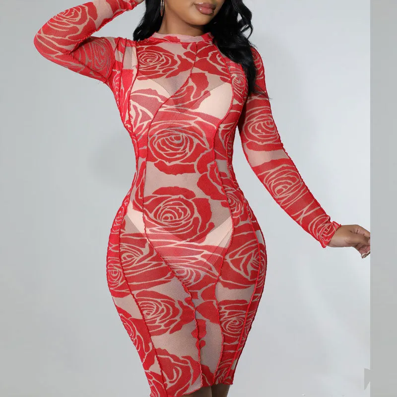 Floral Print Long Sleeve Sheer Mesh Bodycon Dress
