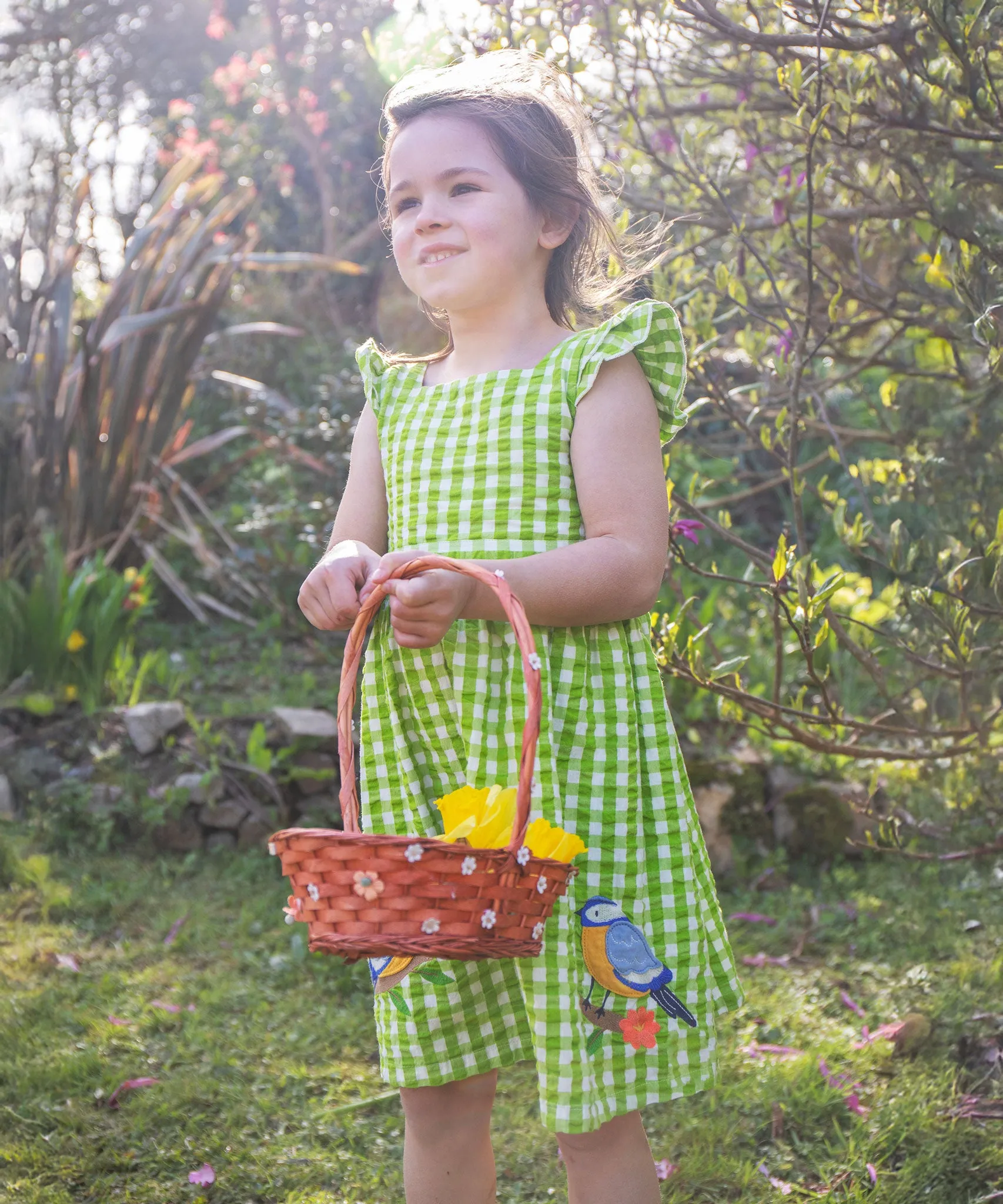 Frugi Zaria Dress - Macaw Gingham / Birds