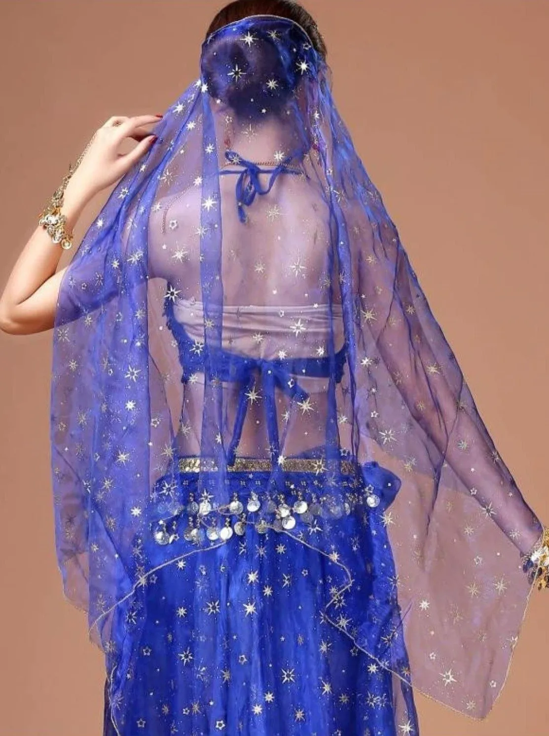 Girls Metallic Embroidered Sheer Organza Veil