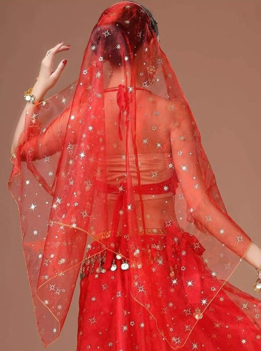 Girls Metallic Embroidered Sheer Organza Veil