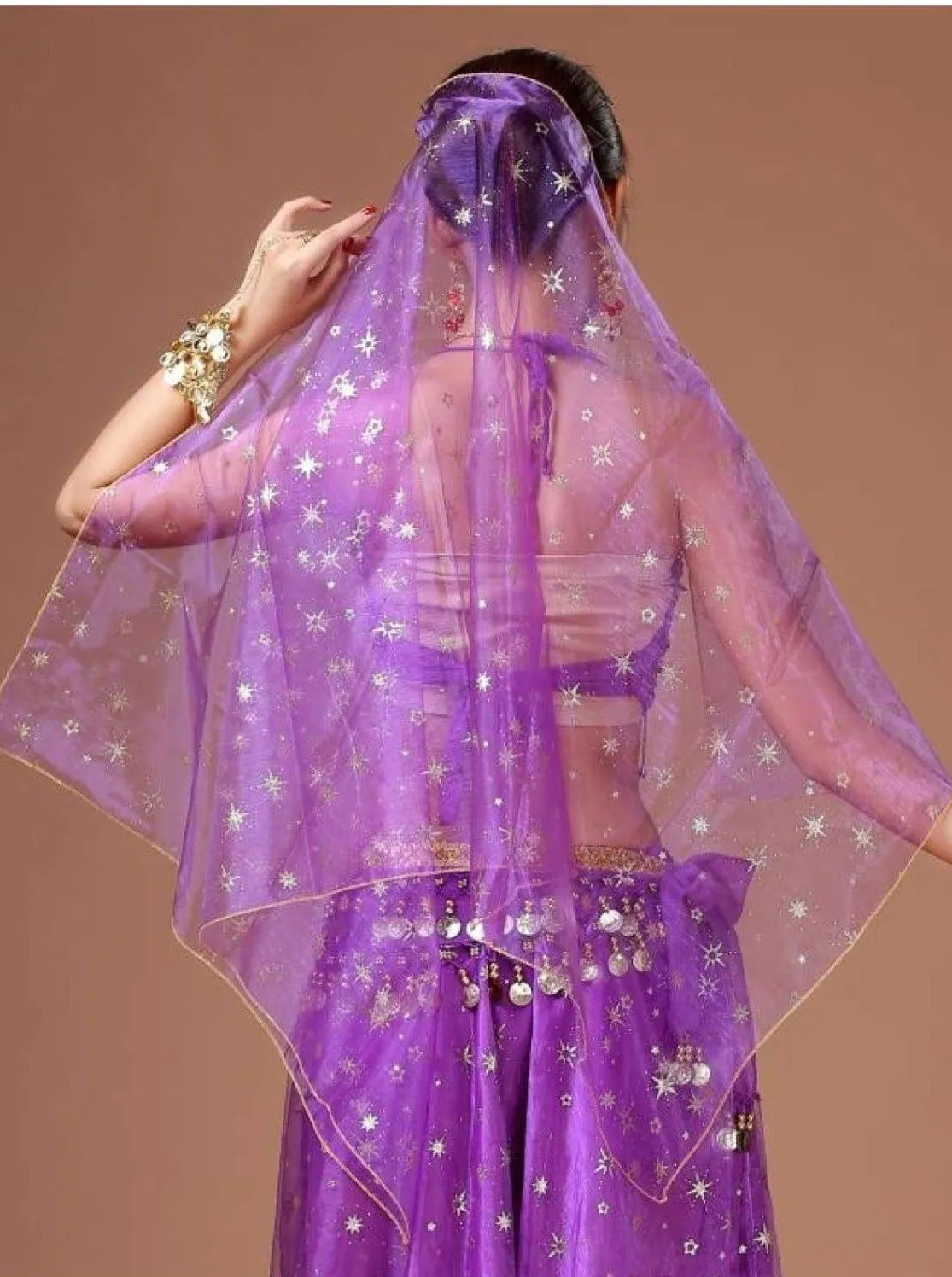 Girls Metallic Embroidered Sheer Organza Veil