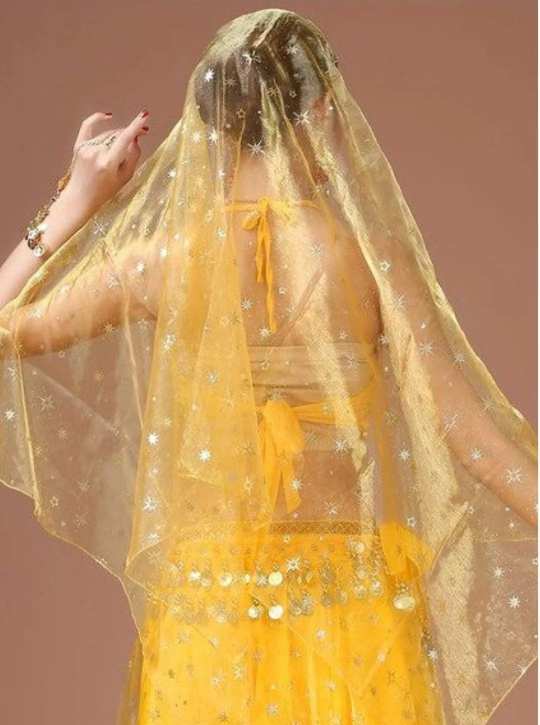 Girls Metallic Embroidered Sheer Organza Veil