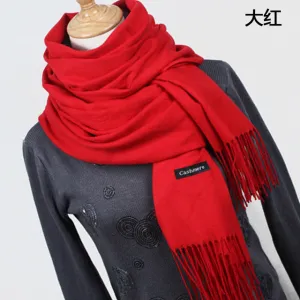 Hot sale Scarf Pashmina Cashmere Scarf Wrap Shawl Winter Scarf Women's Scarves Tassel Long Blanket Cachecol High Quality YR001