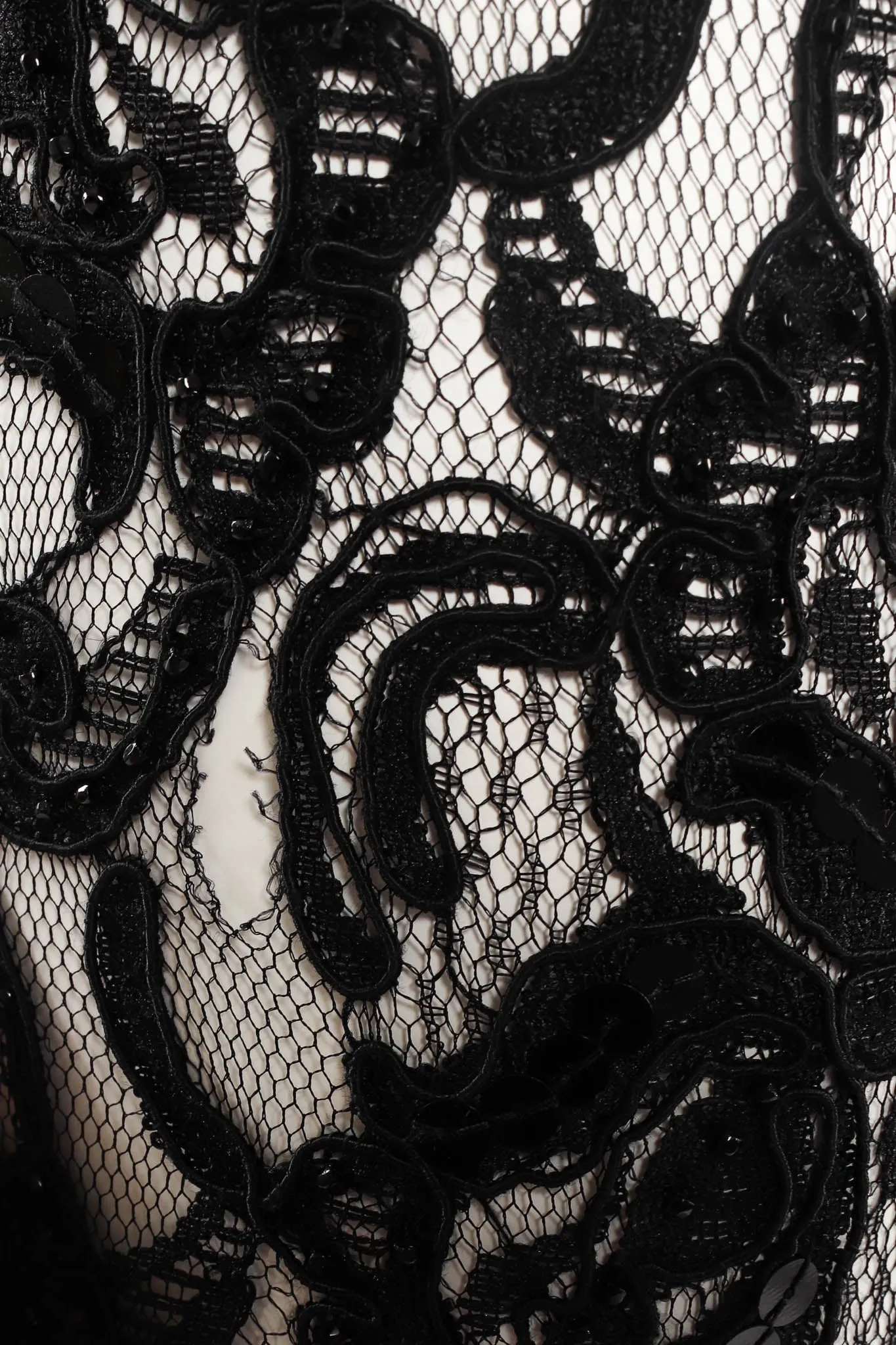 Lace Sequin Embroidered Sheer Pant