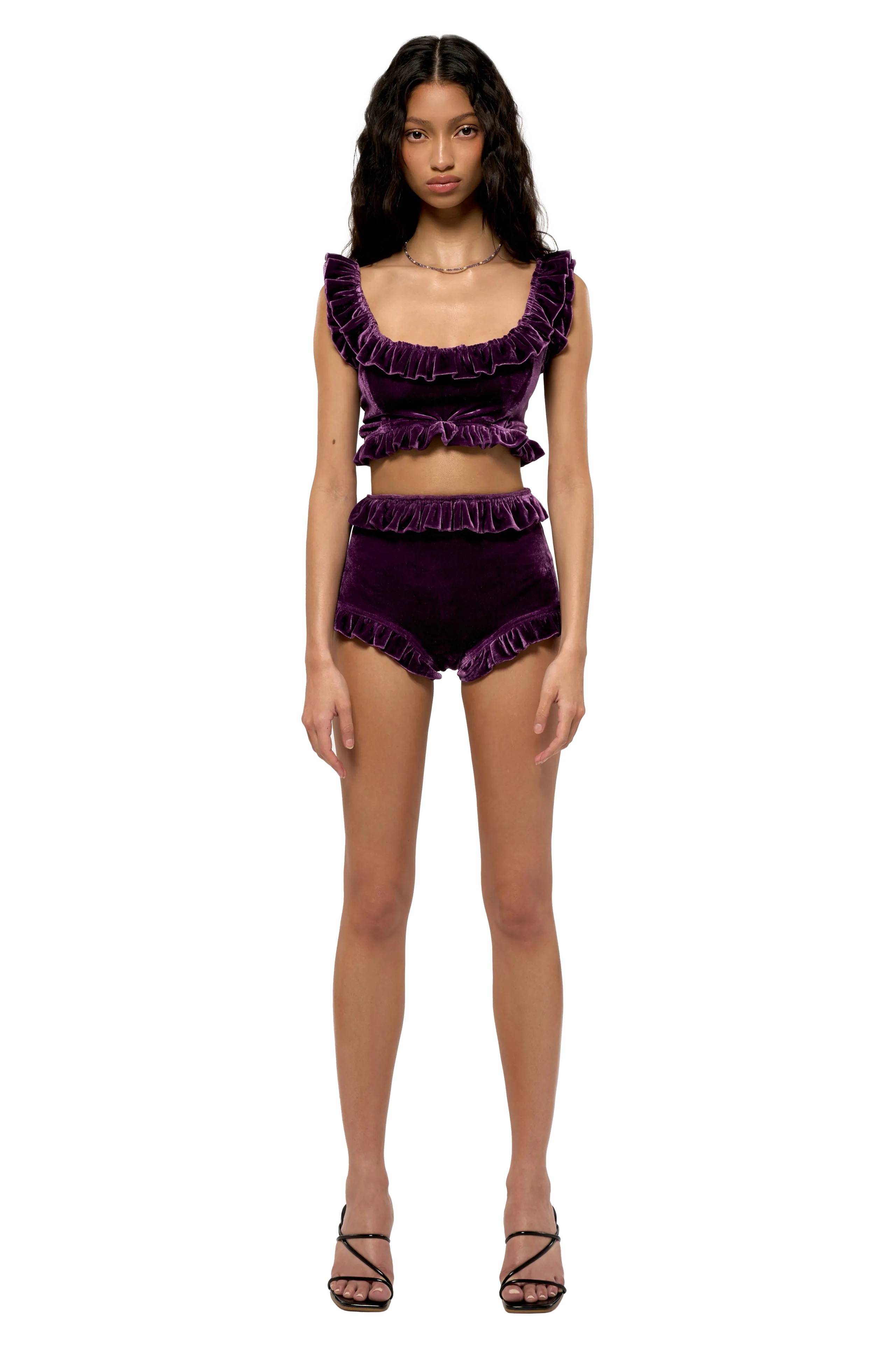 Lavendure Shorts