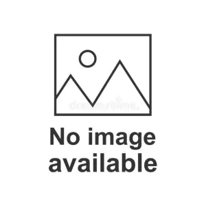 On Running Women's Running Shorts