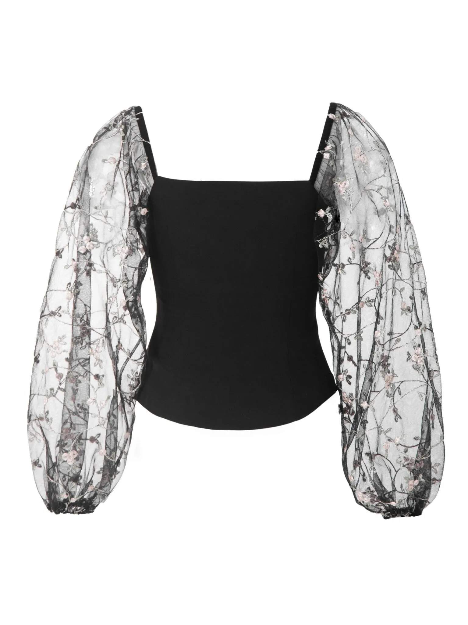 Parien Embroidered Tulle-sleeve Top