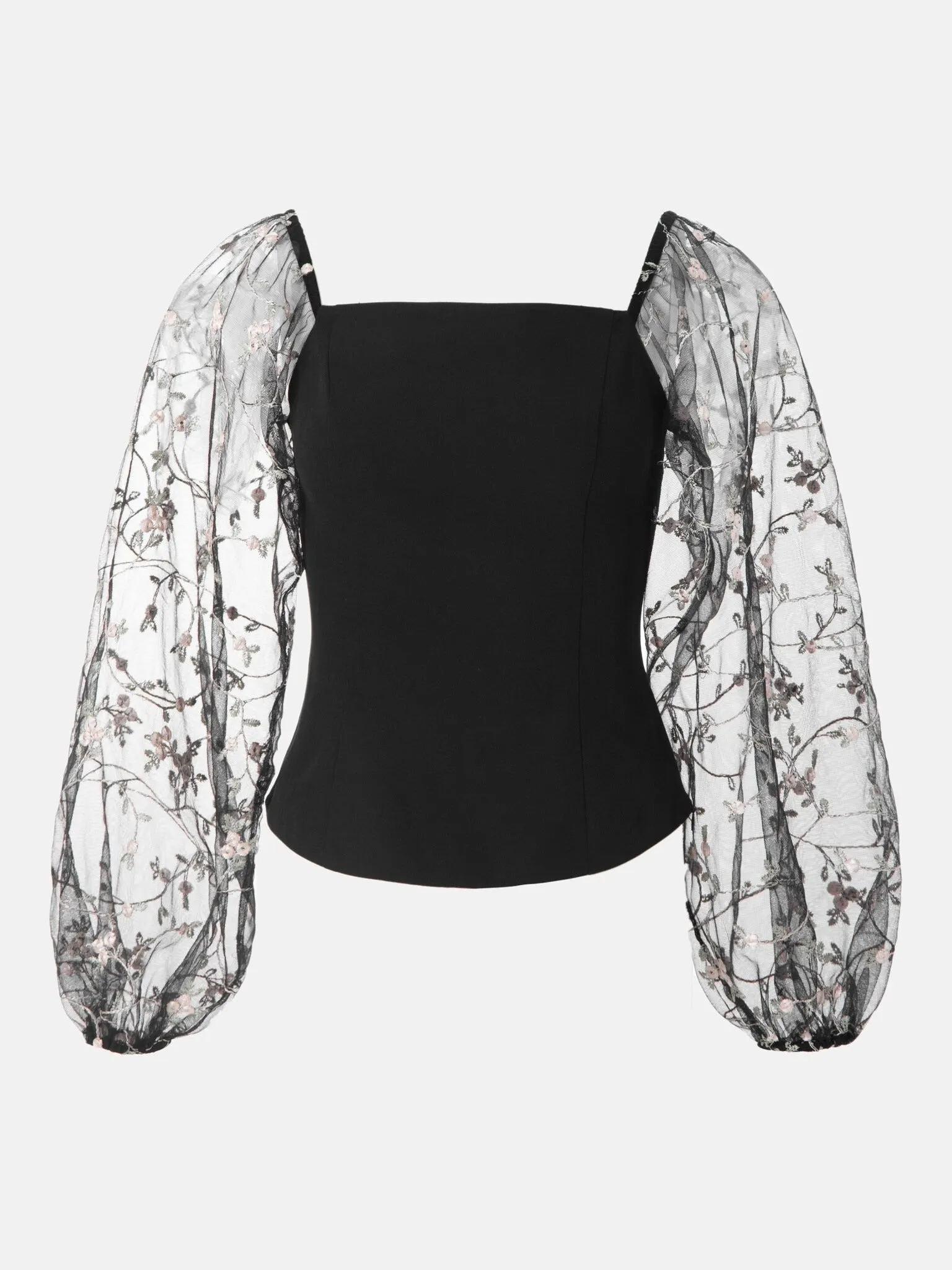 Parien Embroidered Tulle-sleeve Top