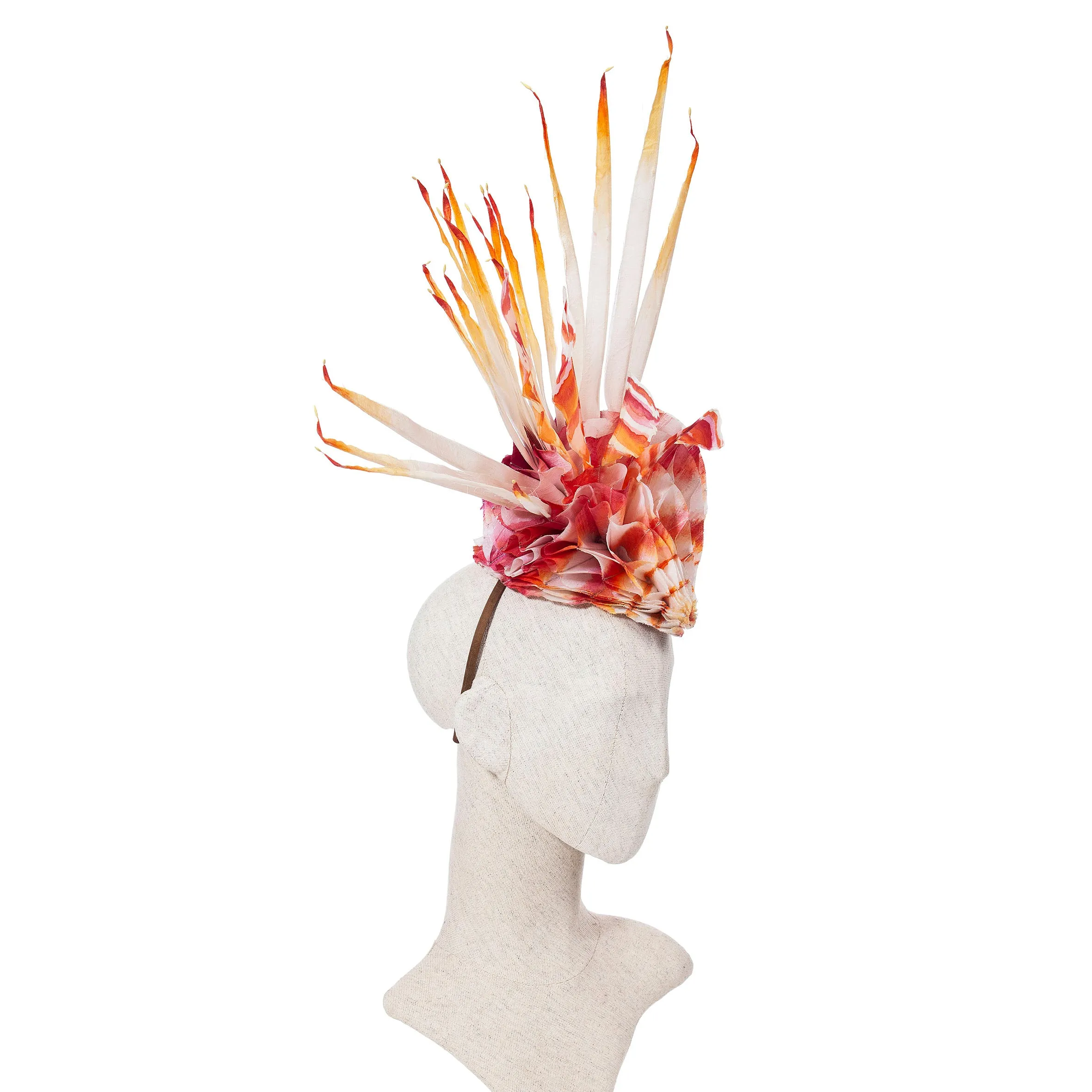 "Lion Fish"