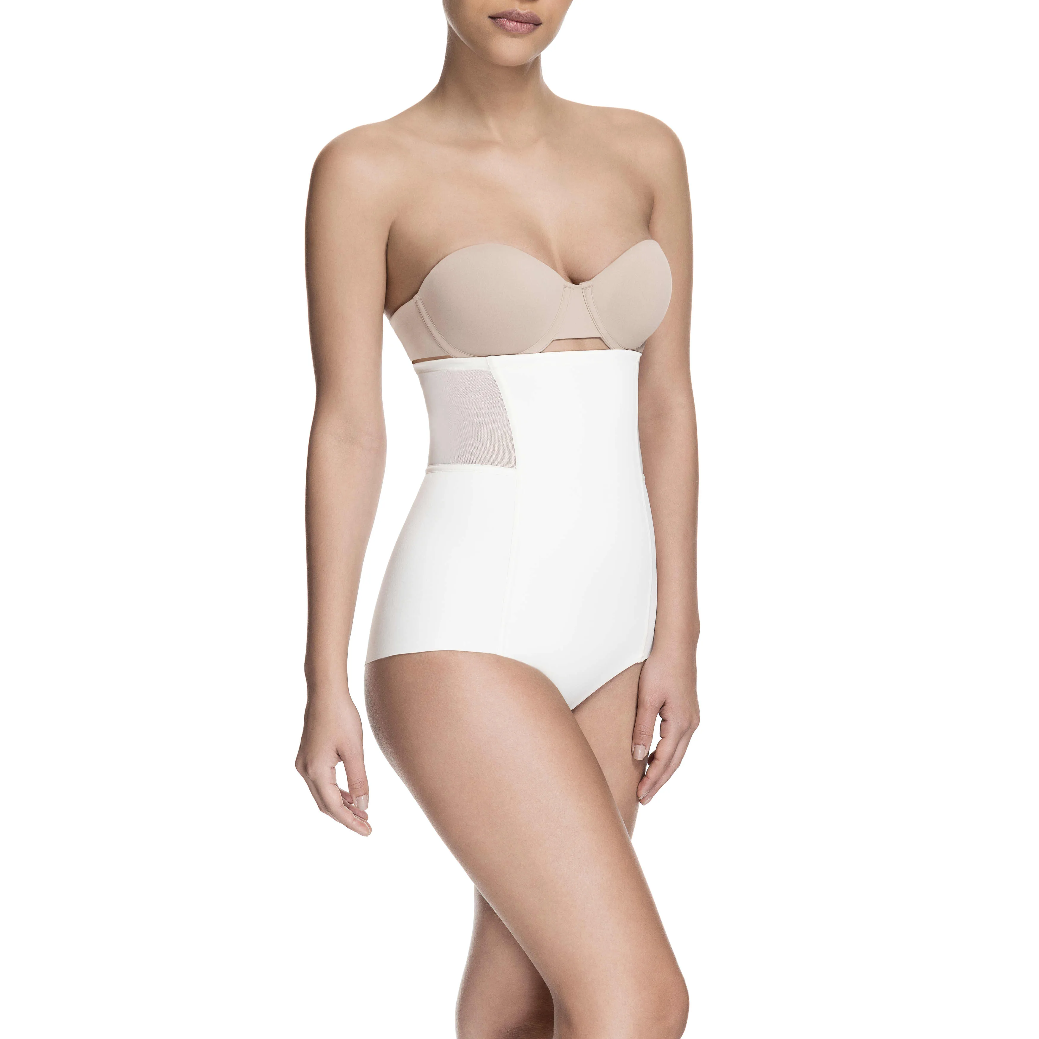 Sheer Allure High Waist Brief
