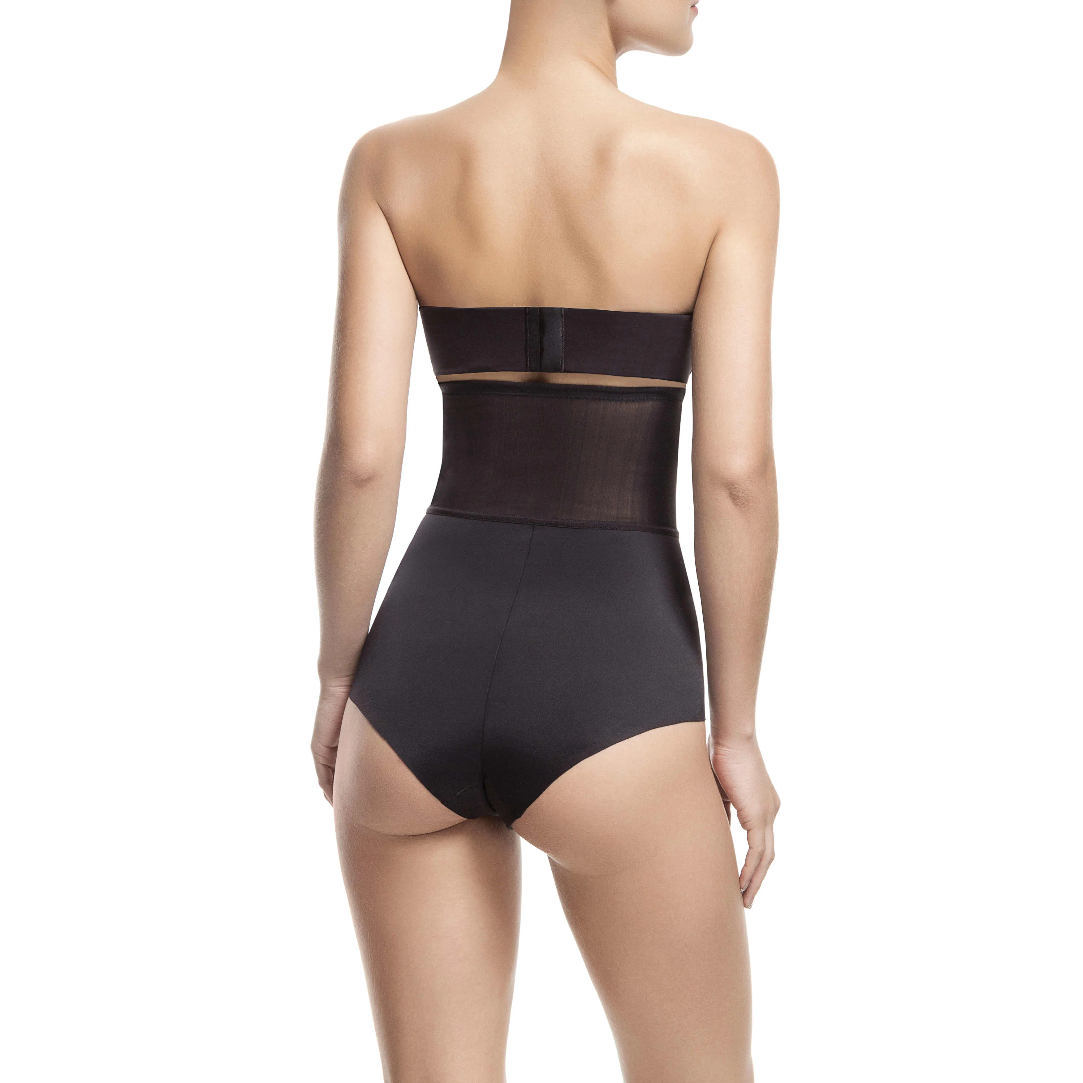 Sheer Allure High Waist Brief