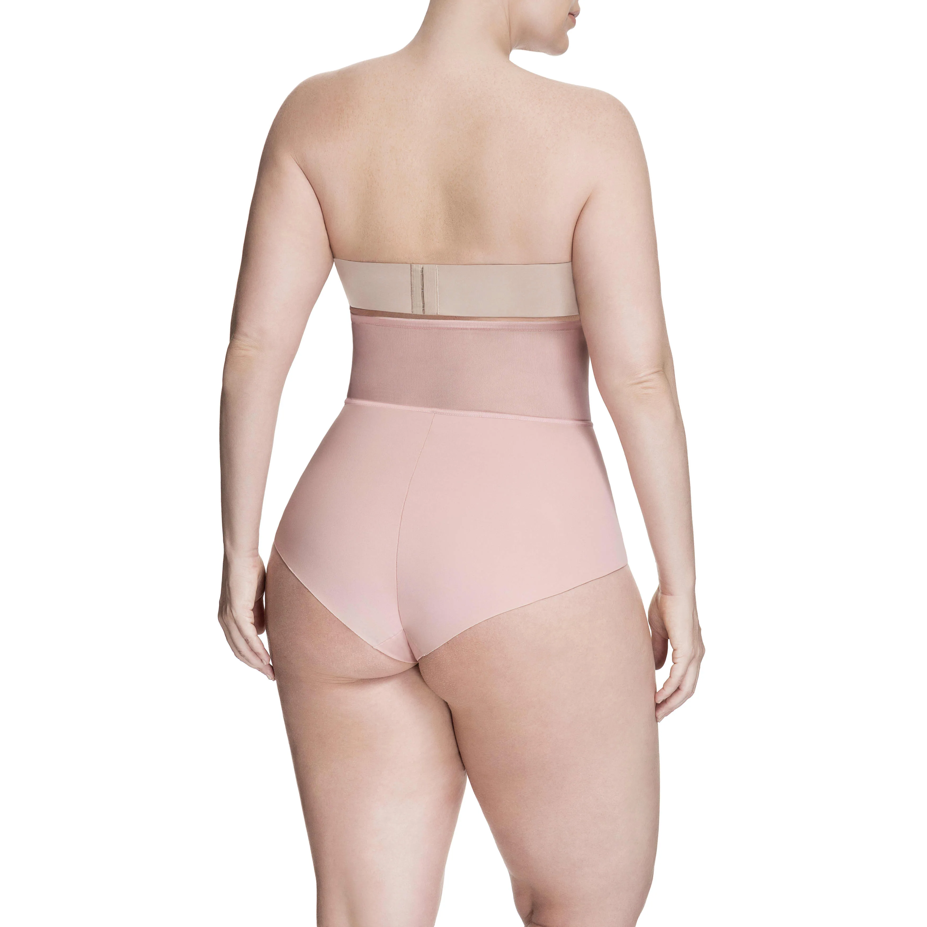 Sheer Allure High Waist Brief