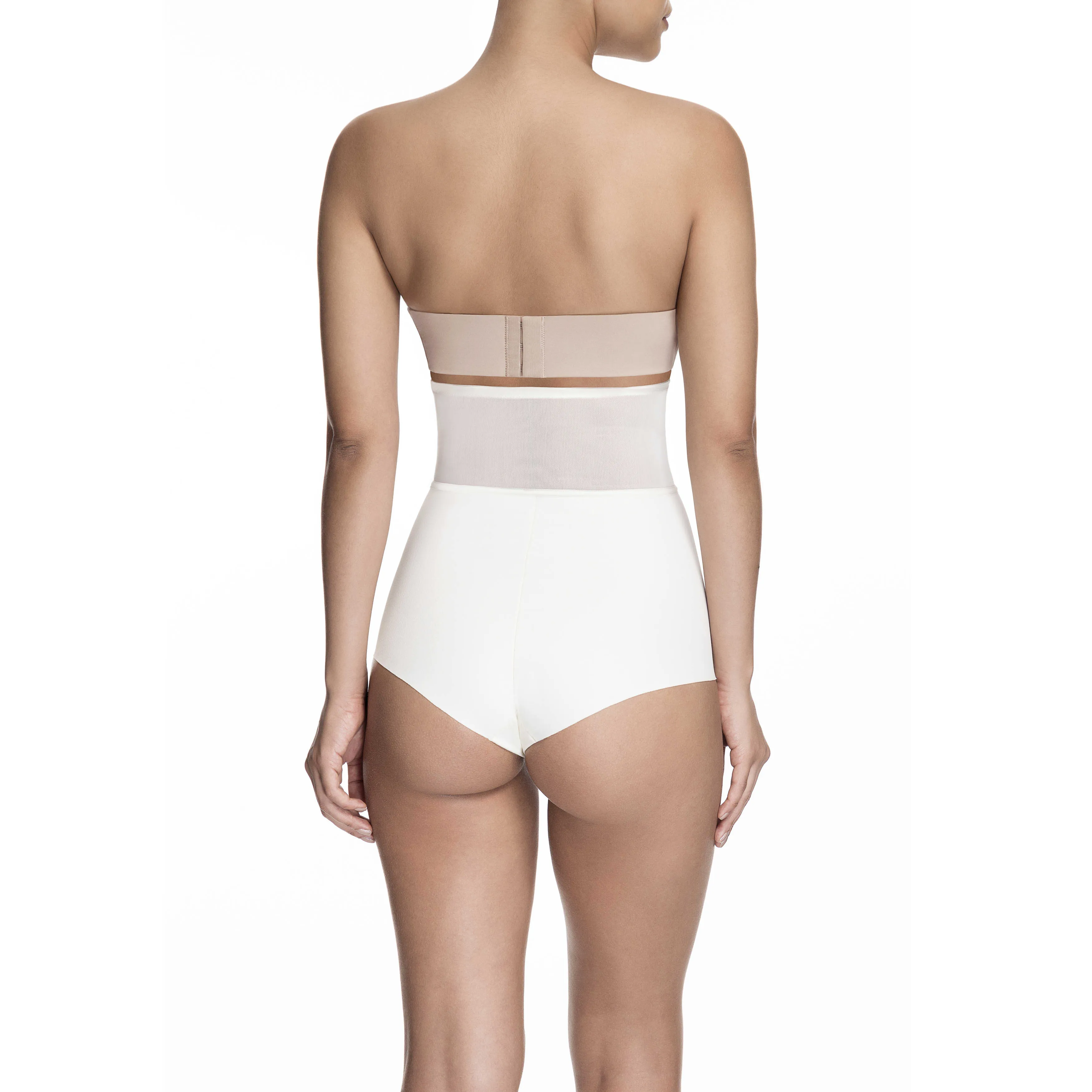 Sheer Allure High Waist Brief