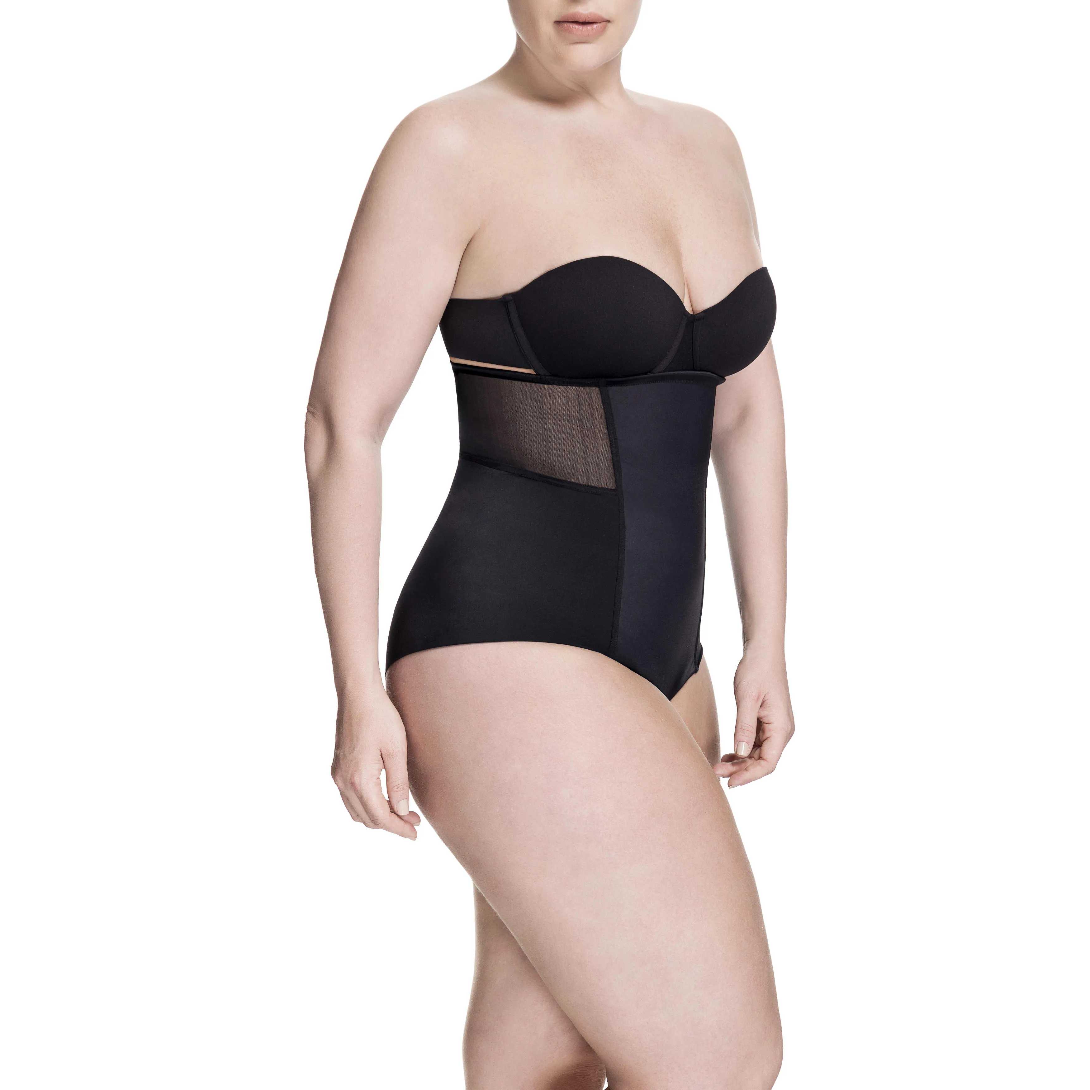 Sheer Allure High Waist Brief