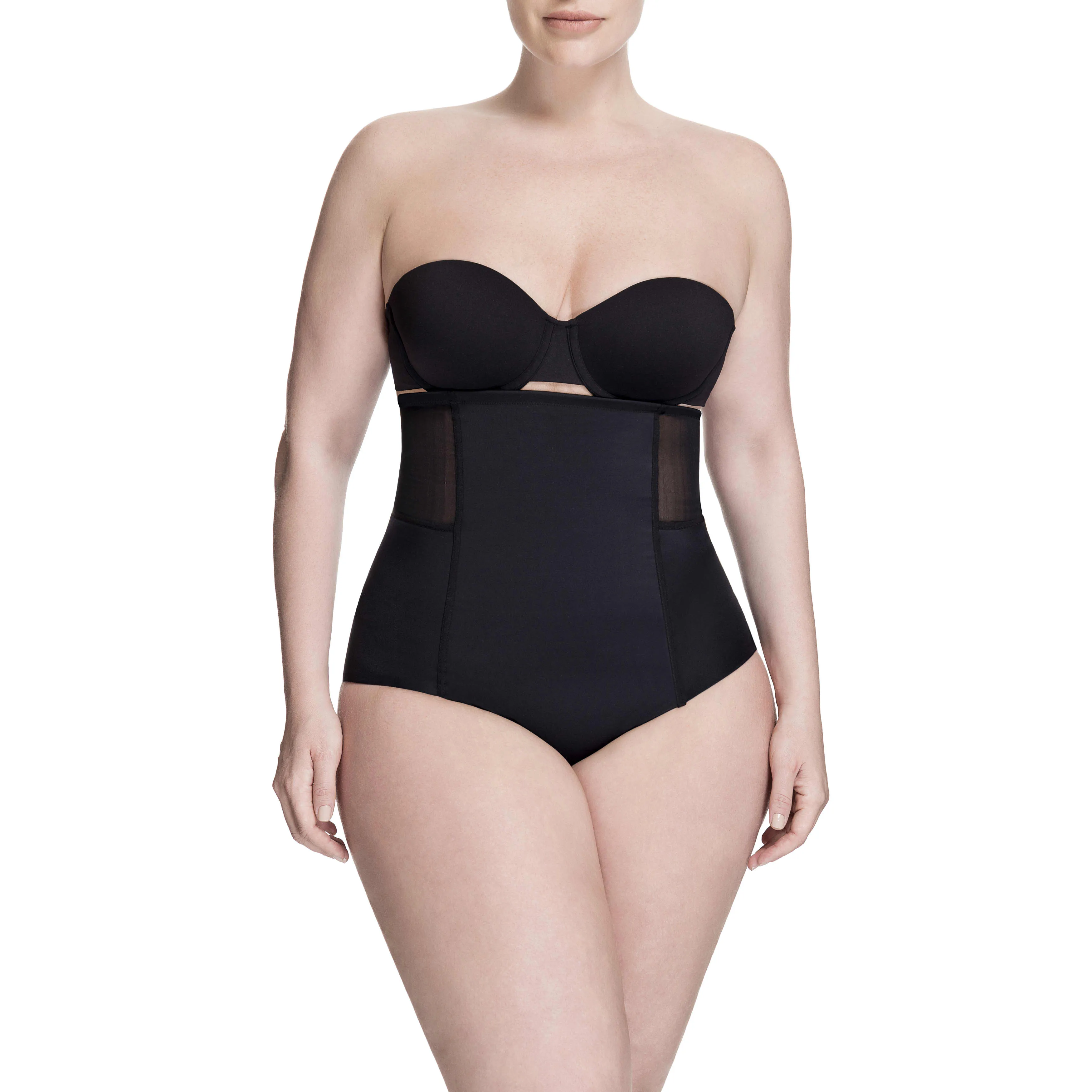 Sheer Allure High Waist Brief