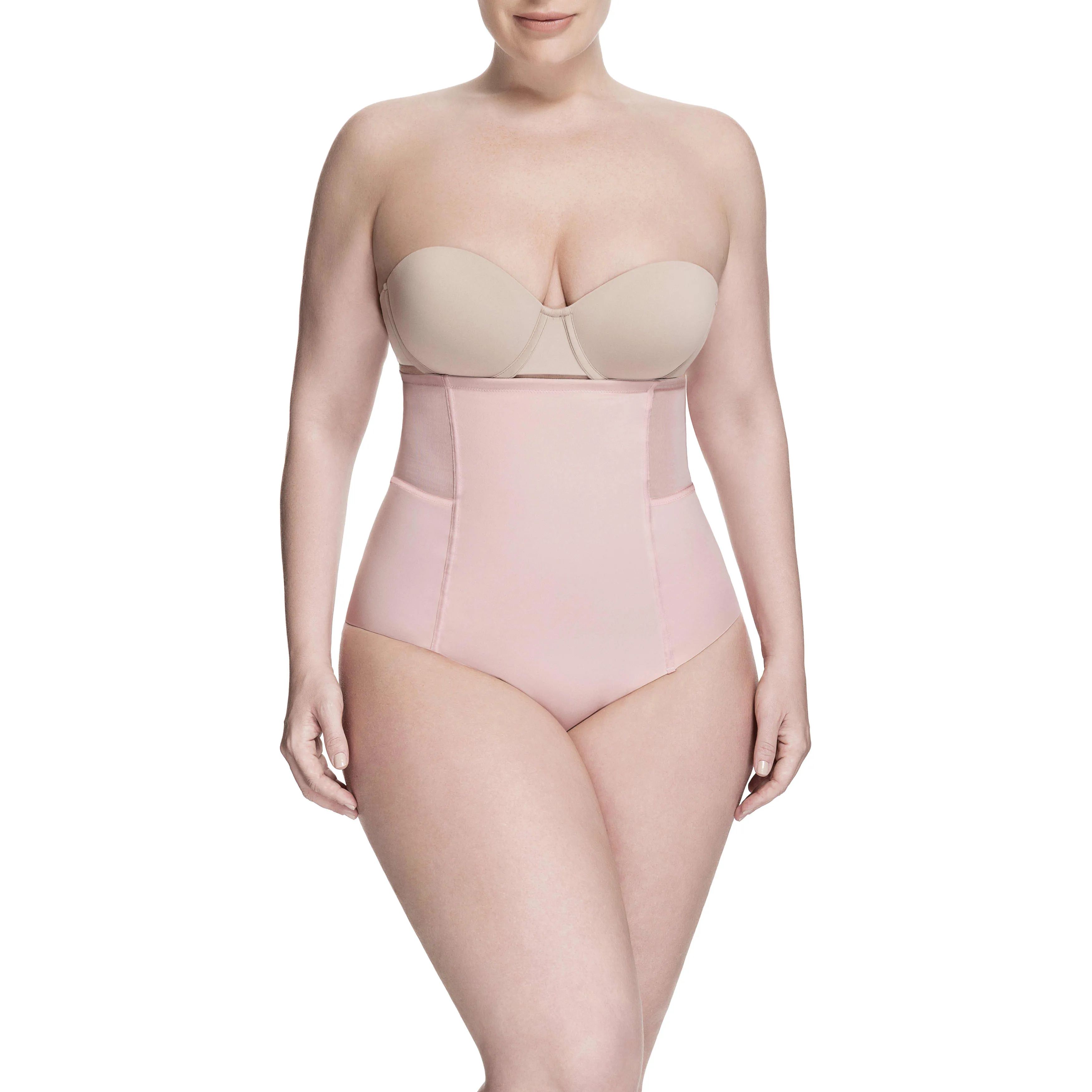 Sheer Allure High Waist Brief