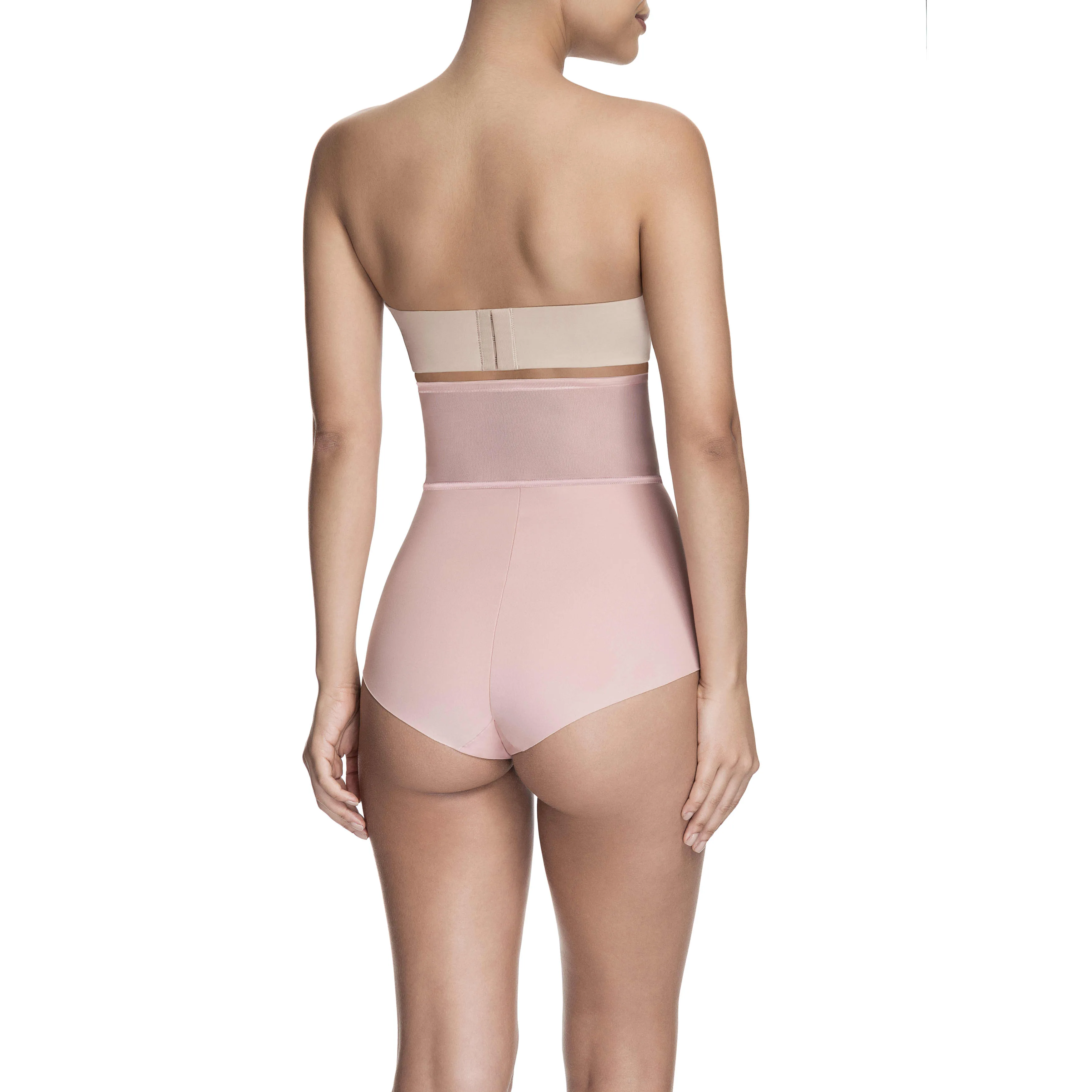 Sheer Allure High Waist Brief