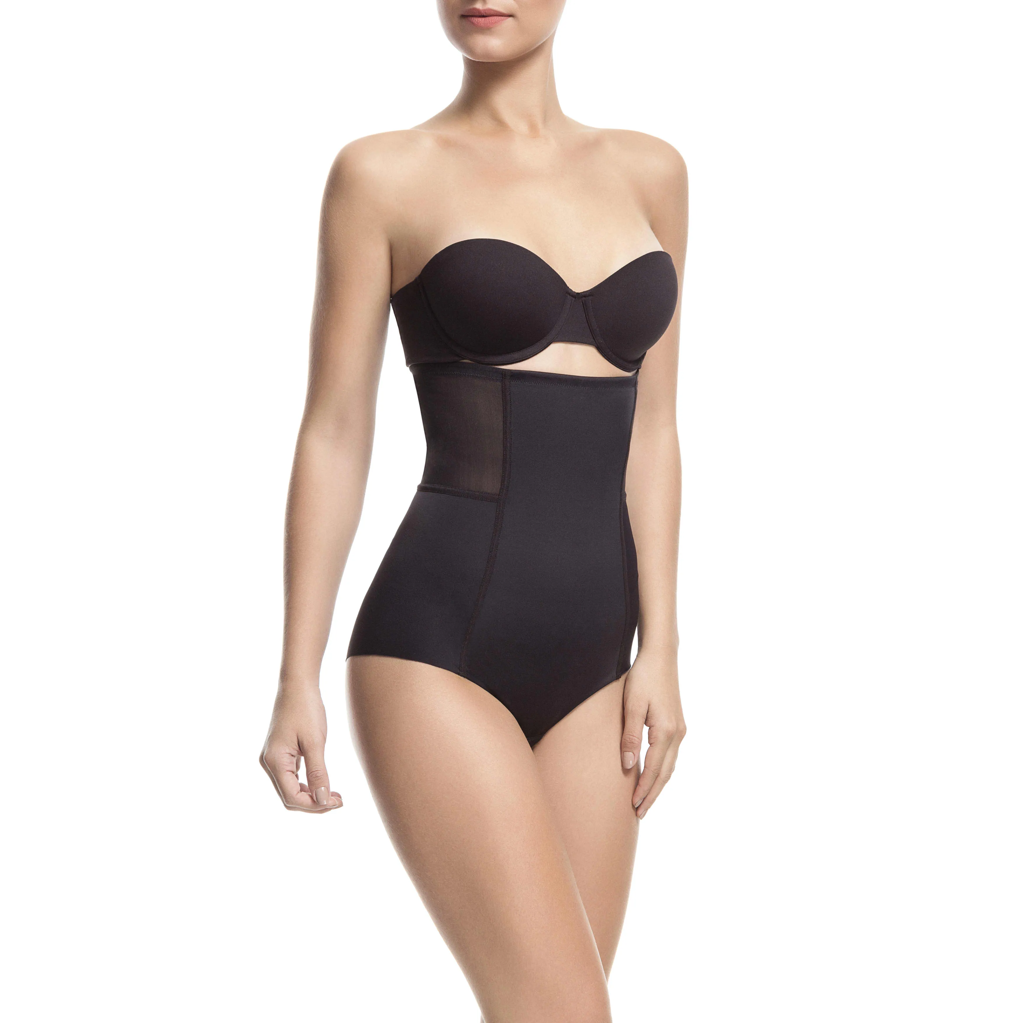 Sheer Allure High Waist Brief