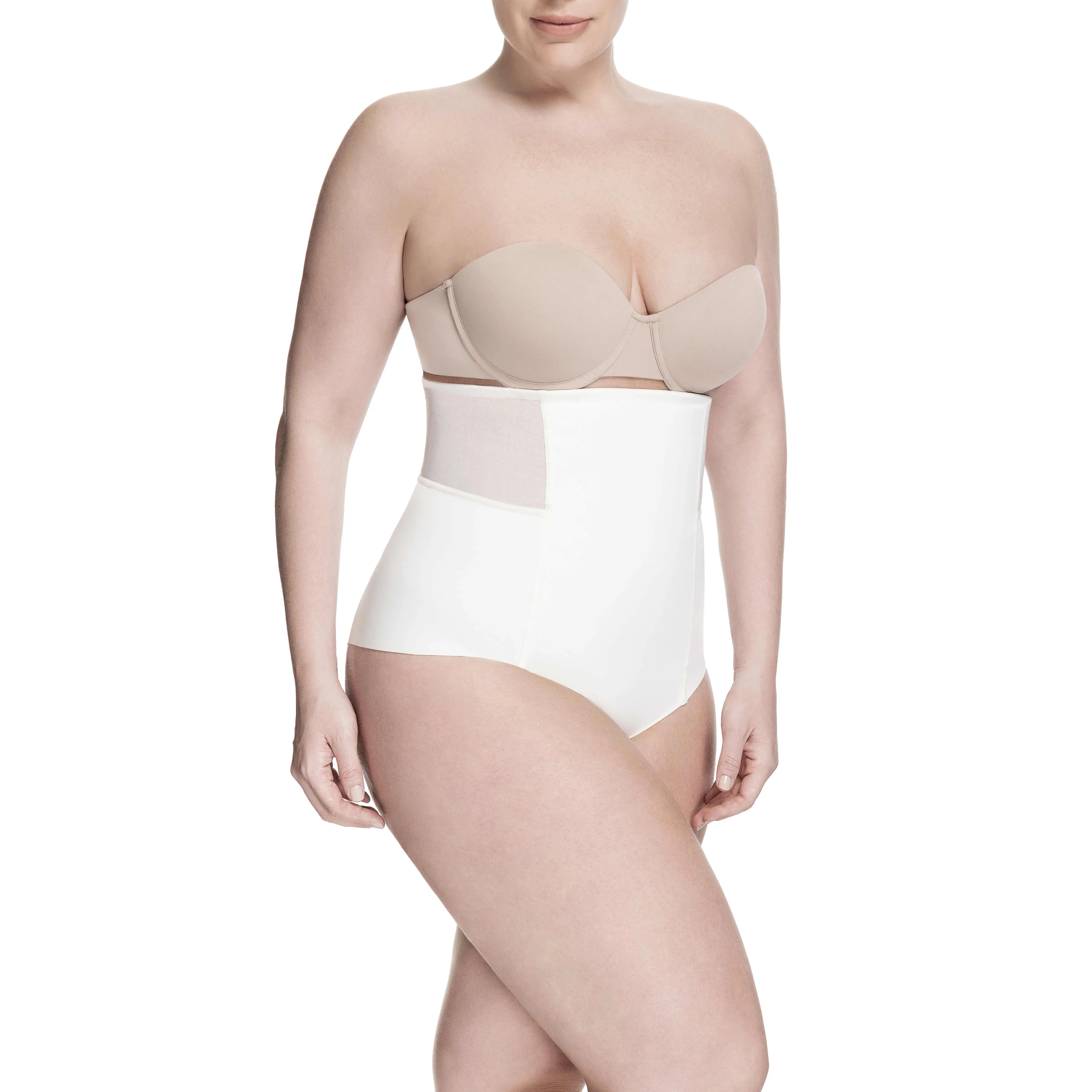 Sheer Allure High Waist Brief