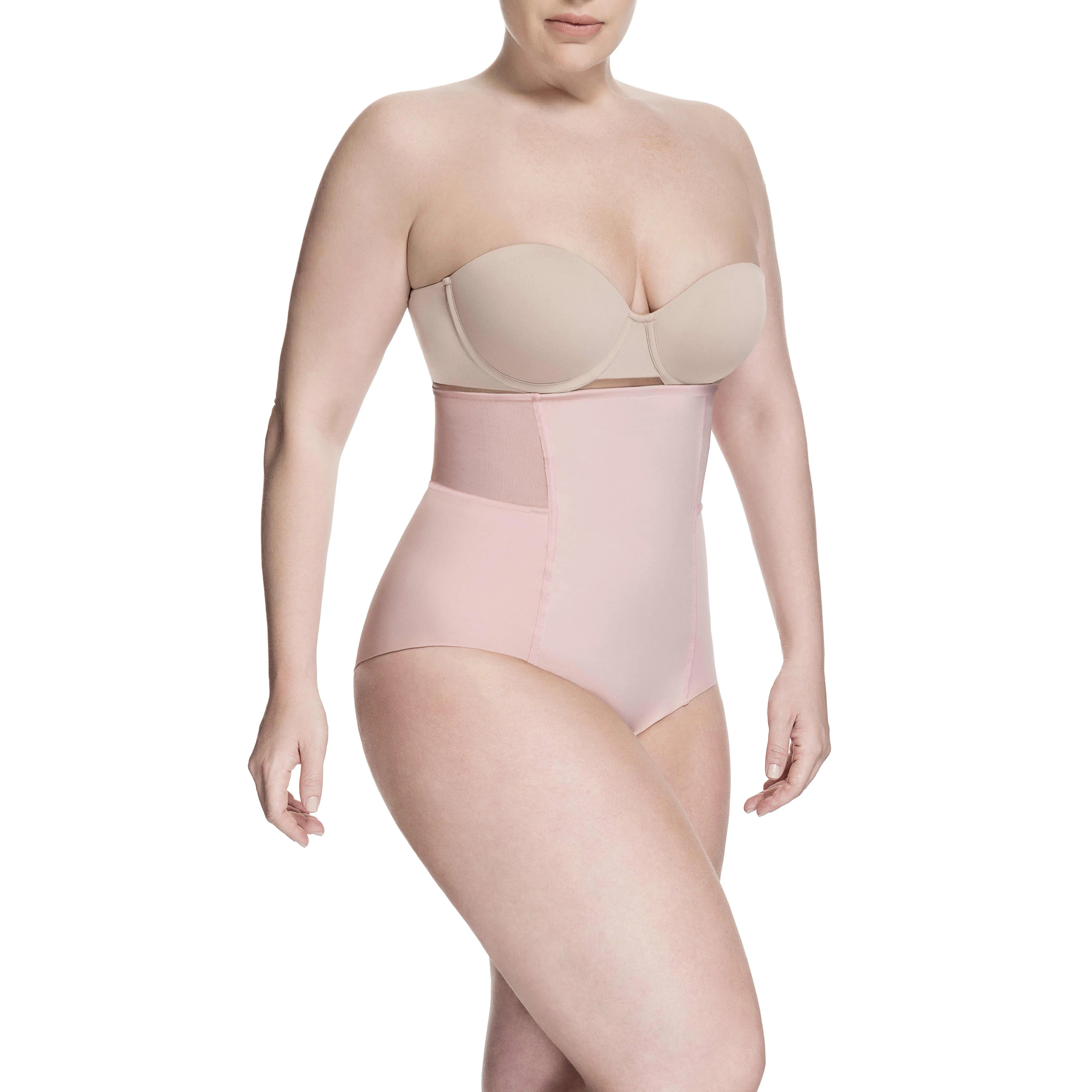 Sheer Allure High Waist Brief