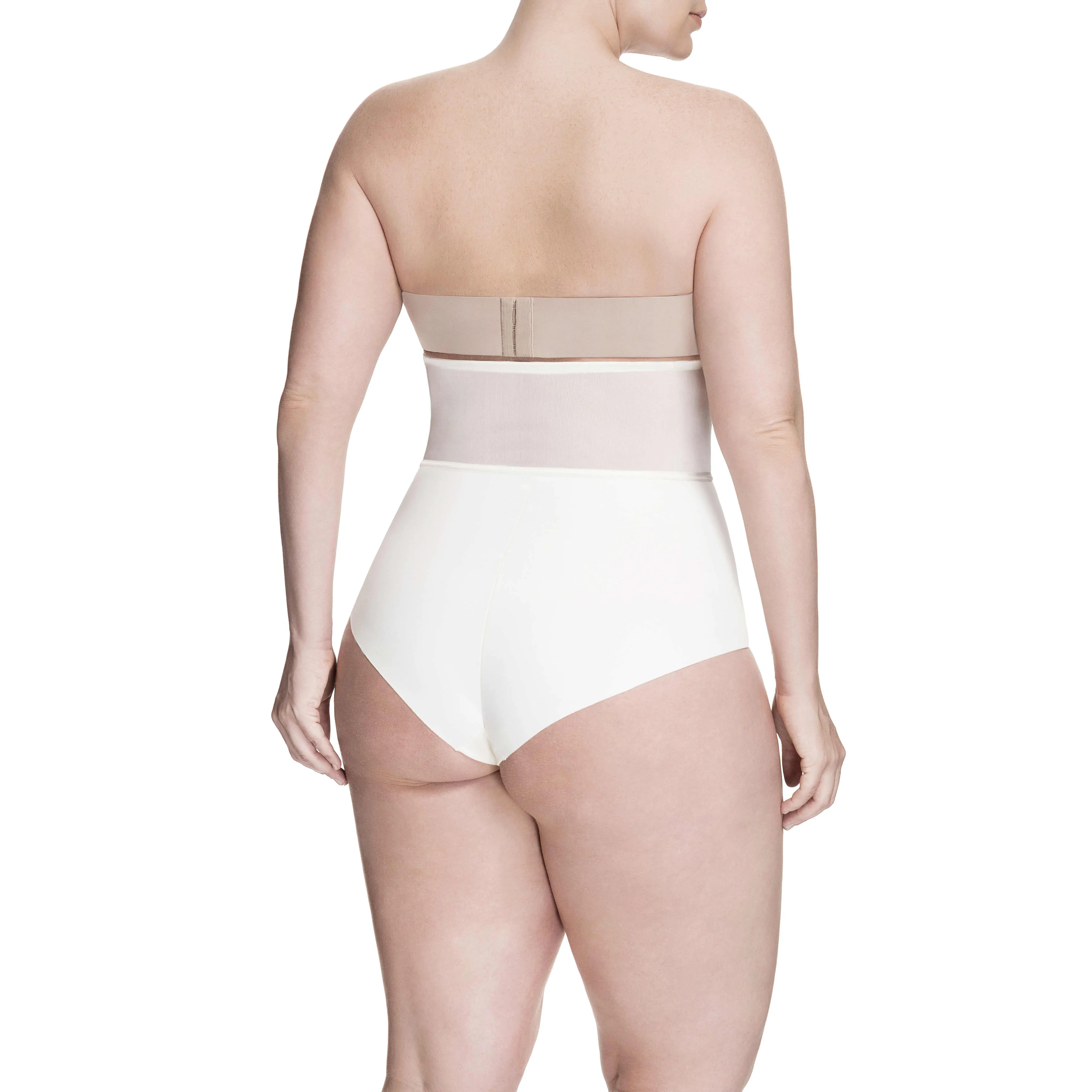 Sheer Allure High Waist Brief