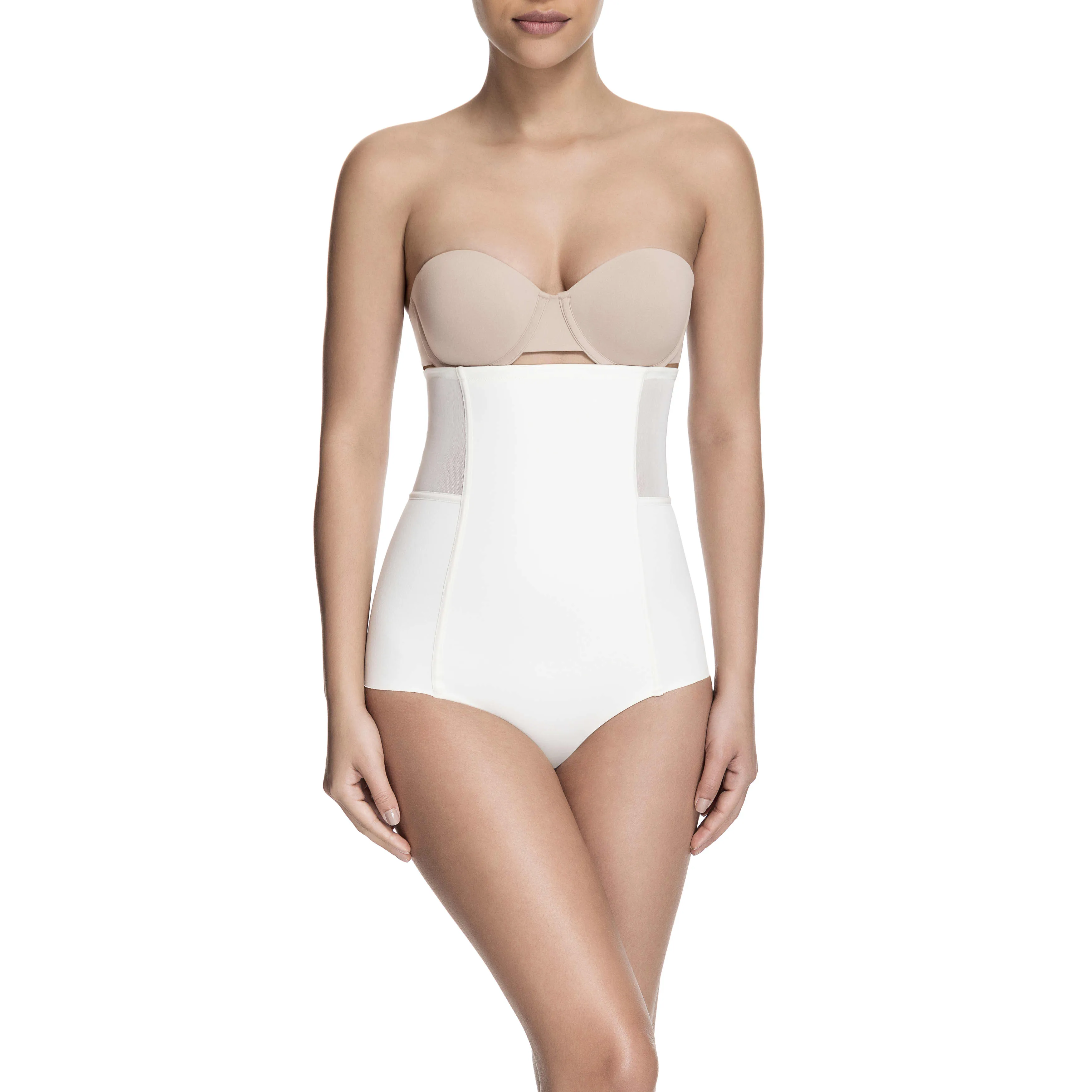 Sheer Allure High Waist Brief