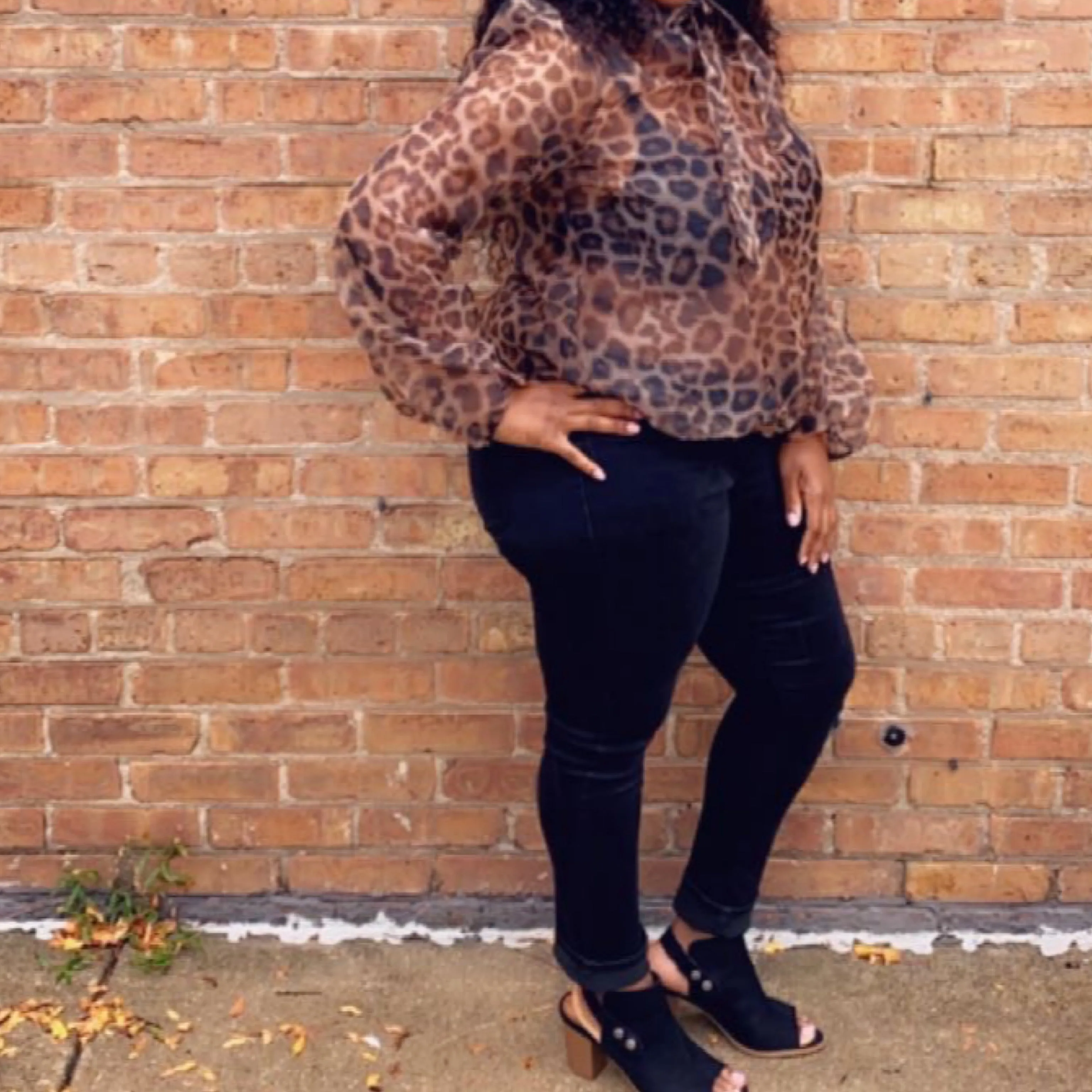 Sheer Leopard Top