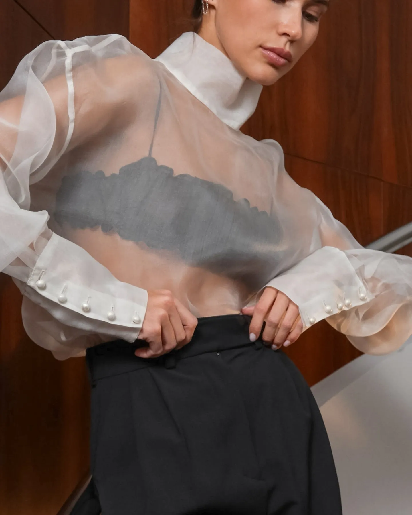 Sheer Mesh Puff Sleeve Shirt Top