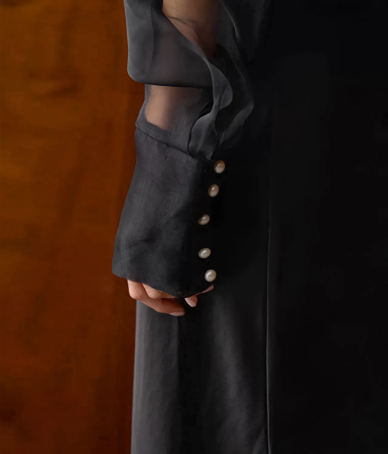 Sheer Mesh Puff Sleeve Shirt Top