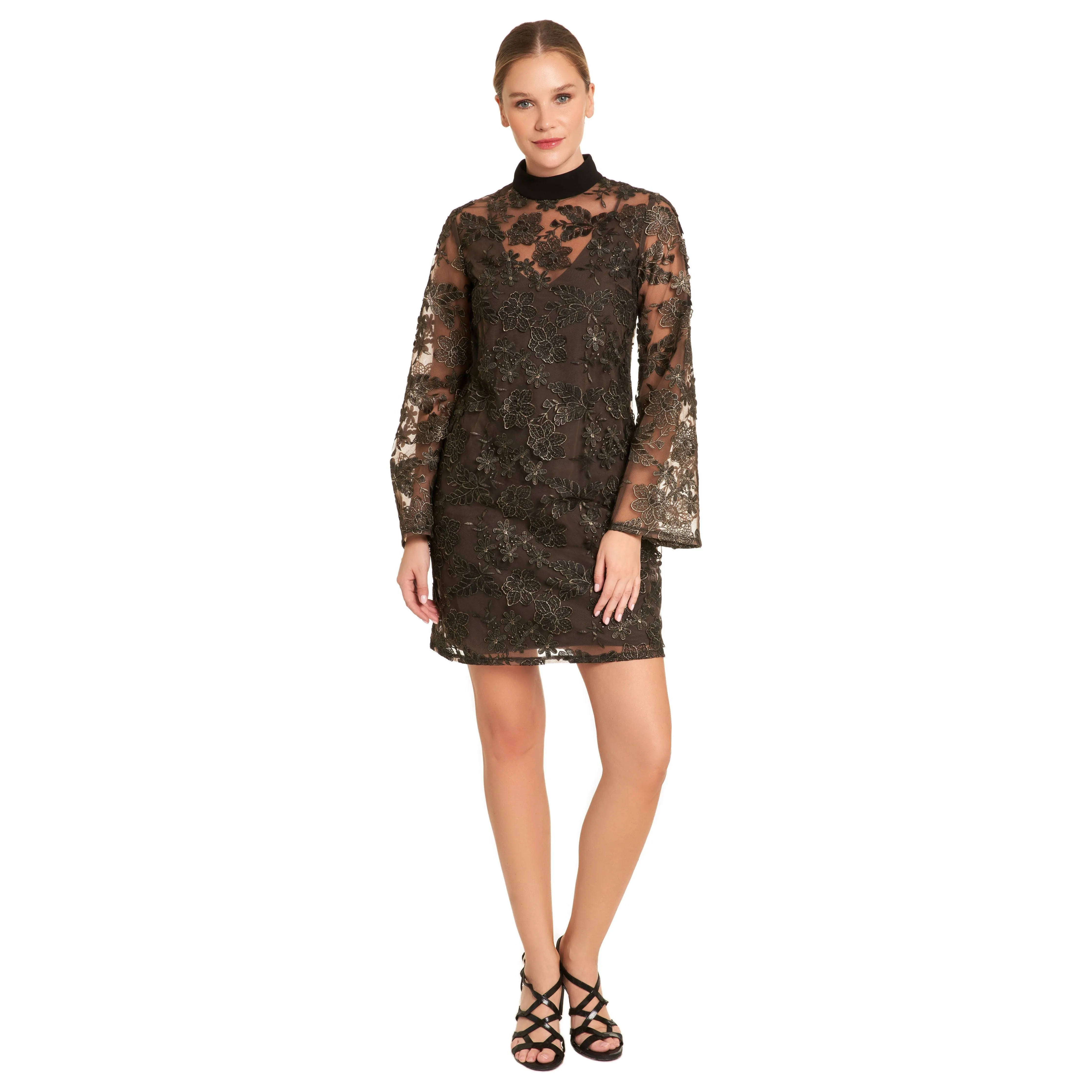 Sheer Metallic Embroidered dress