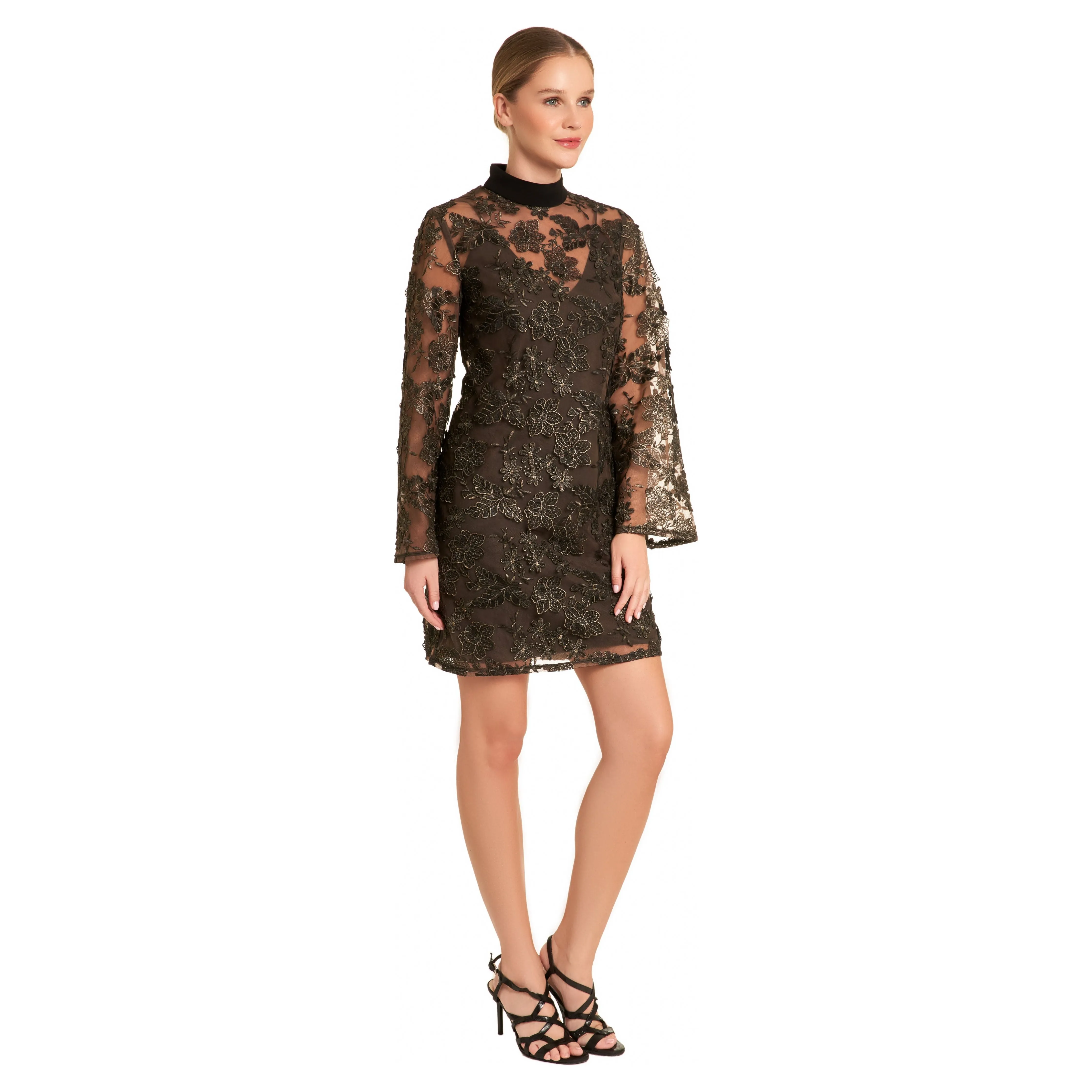 Sheer Metallic Embroidered dress