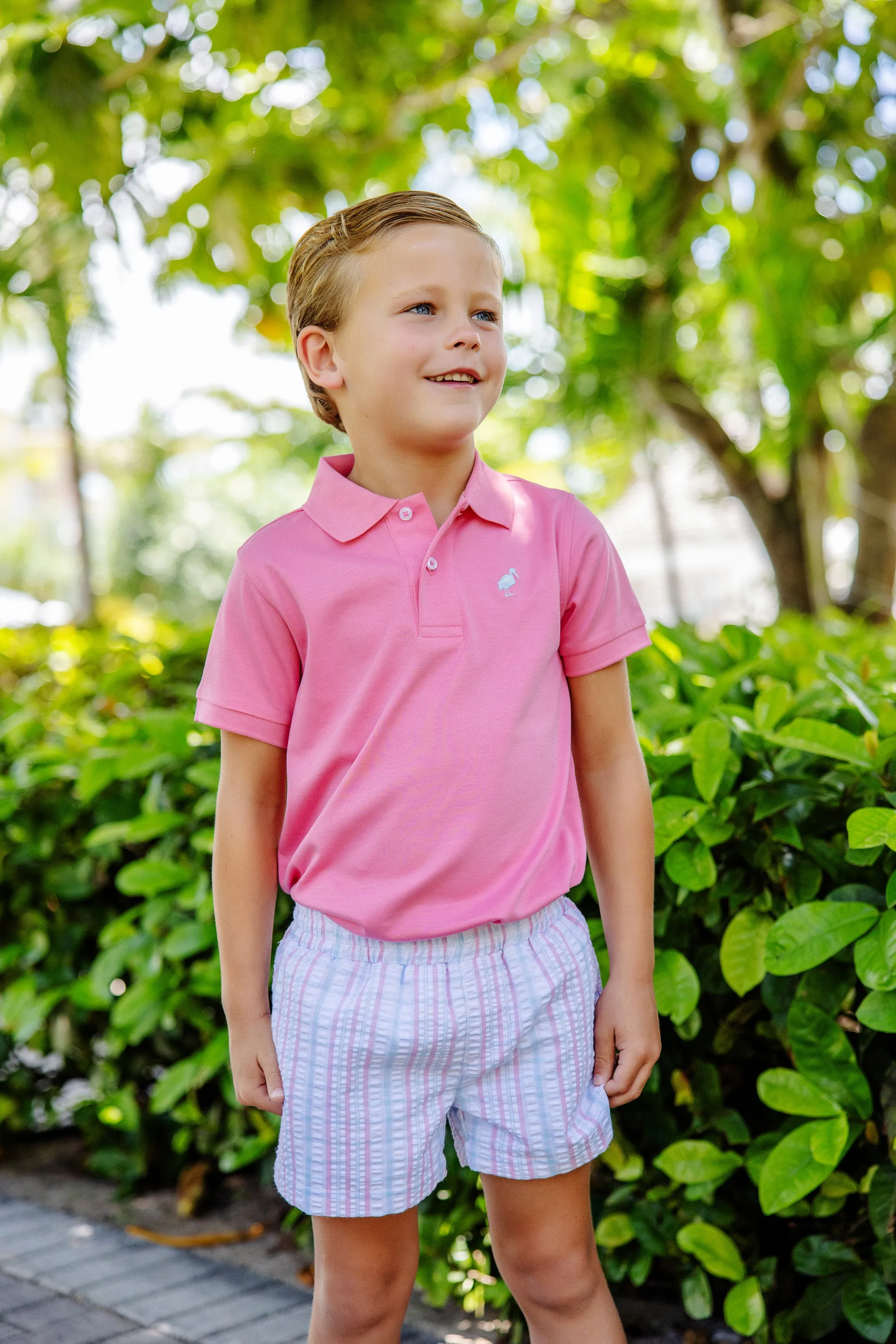 Sheffield Shorts - Beale Street Blue and Hamptons Hot Pink Sewanee Seersucker with Beale Street Blue Stork