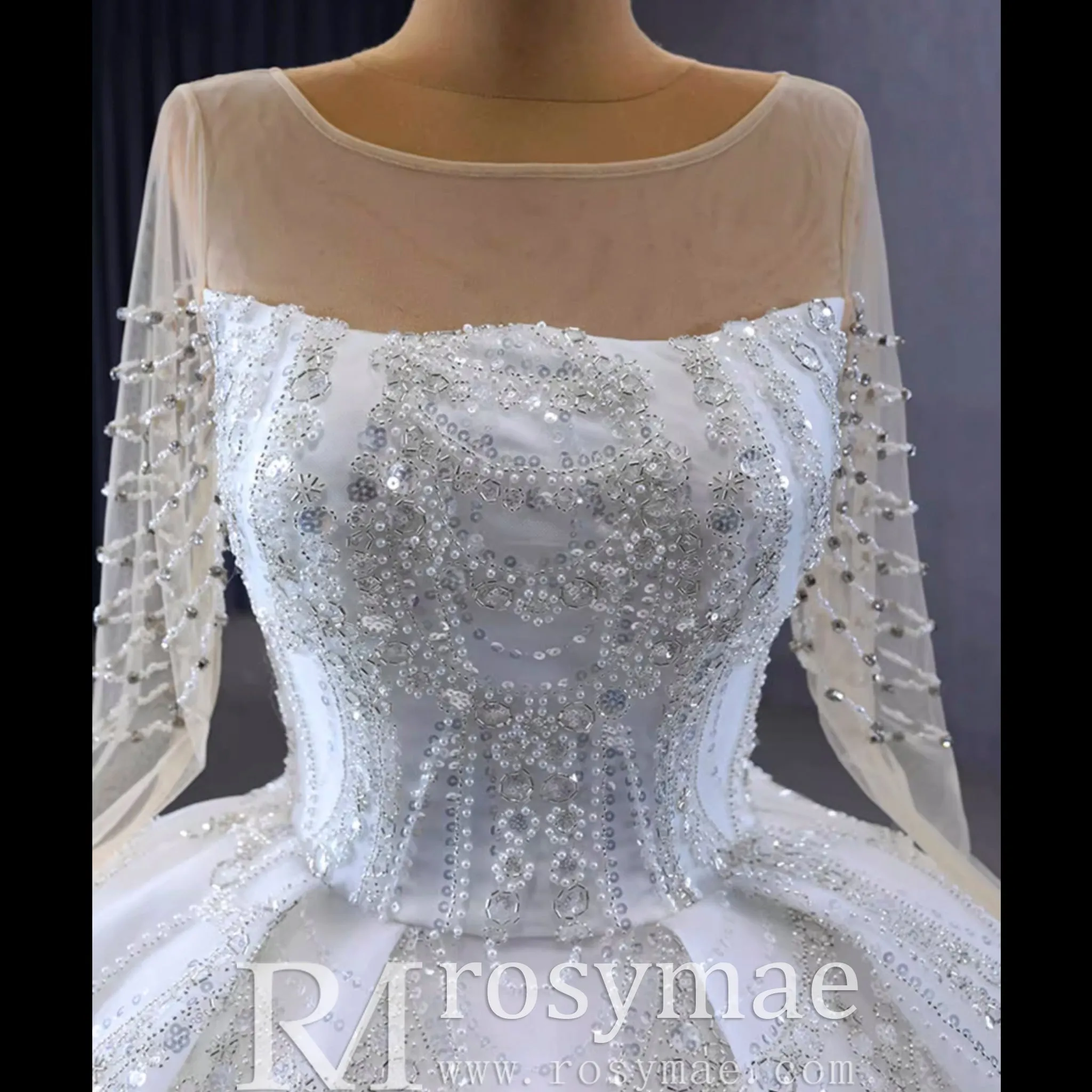 Sparkly Sheer Long Sleeve Puffy Skirt Ball Gown Wedding Dress