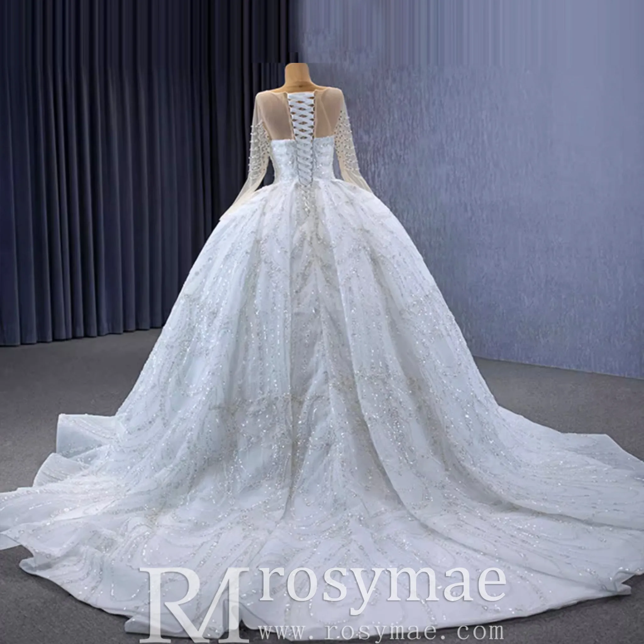 Sparkly Sheer Long Sleeve Puffy Skirt Ball Gown Wedding Dress