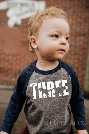Three Dinosaur Birthday Shirt