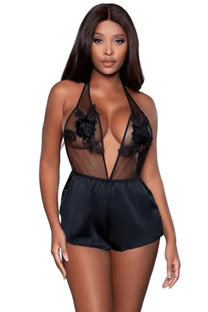 Ultra Fancy Sheer Embroidered Romper